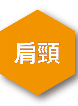 neck